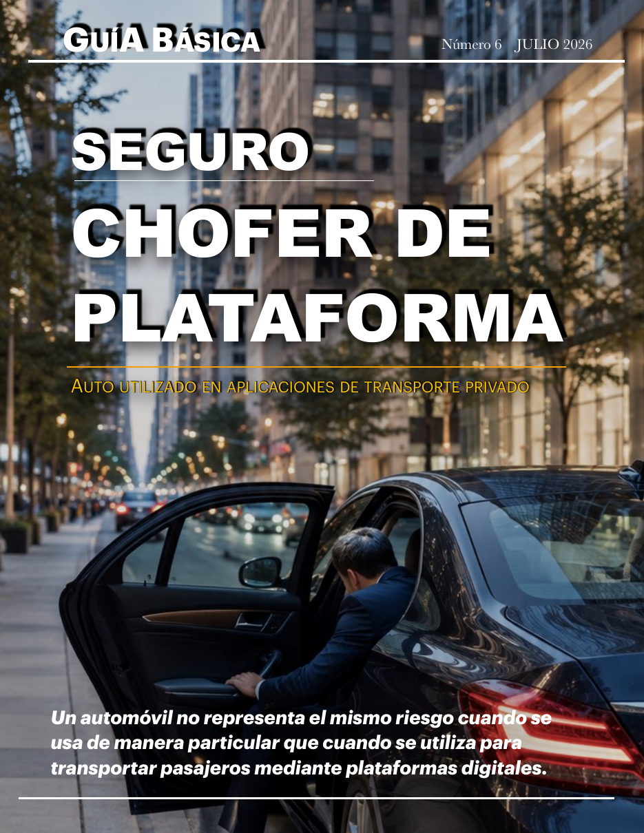 Chofer de Plataforma